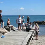 Dancamps Trelde Naes Camping