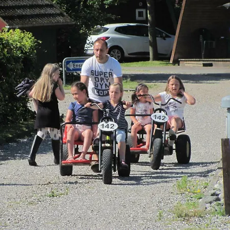 Dancamps Trelde Naes Campingplads 3*
